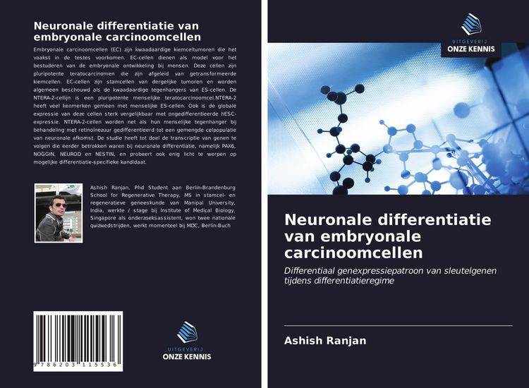 Produktbild: Neuronale differentiatie van embryonale carcinoomcellen