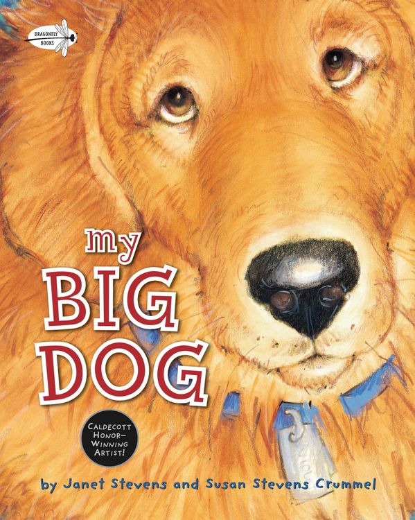 Produktbild: My Big Dog