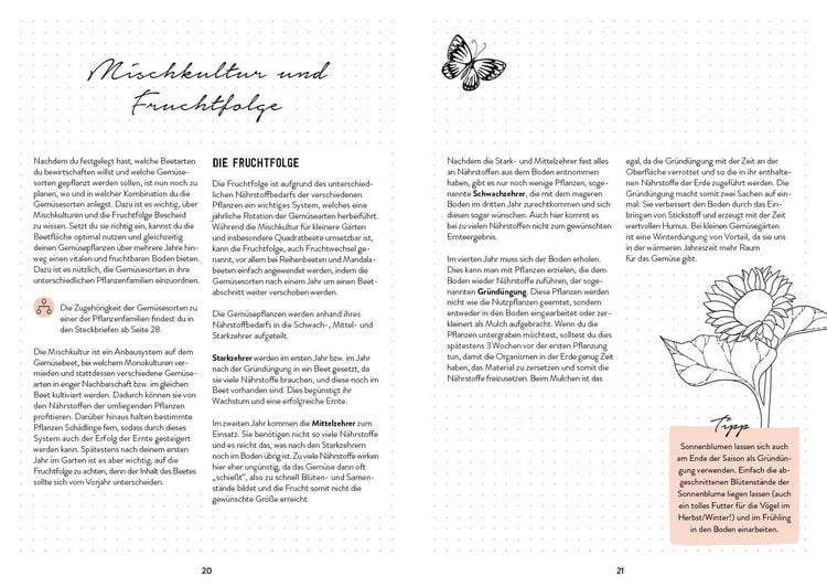 Produktbild: Mein Garten &ndash; Das illustrierte Gartenbuch