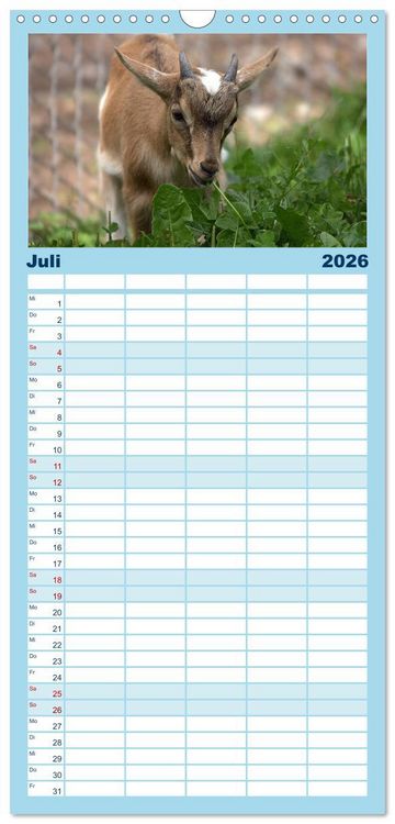 Produktbild: Familienplaner 2026 - Zwergziegen mit 5 Spalten (Wandkalender, 21 x 45 cm) CALVENDO