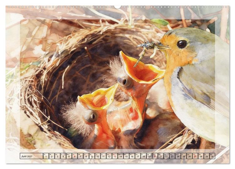 Produktbild: Zauberhaftes Nestgefl&uuml;ster (Wandkalender 2027 DIN A2 quer), CALVENDO Monatskalender