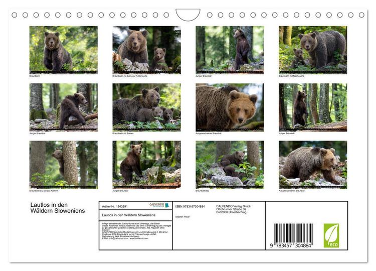 Produktbild: Lautlos in den W&auml;ldern Sloweniens (Wandkalender 2026 DIN A4 quer), CALVENDO Monatskalender