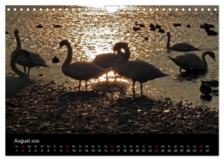 Produktbild: Die Isar - Von Scharnitz bis M&uuml;nchen (Wandkalender 2026 DIN A4 quer), CALVENDO Monatskalender