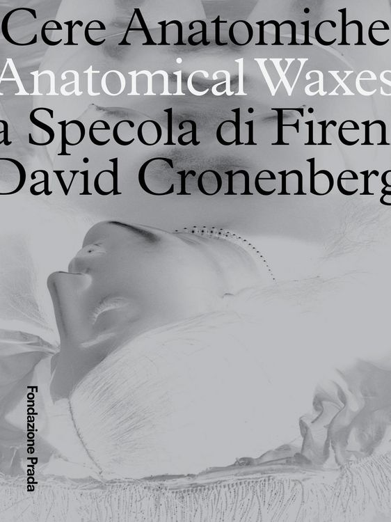Produktbild: Anatomical Waxes