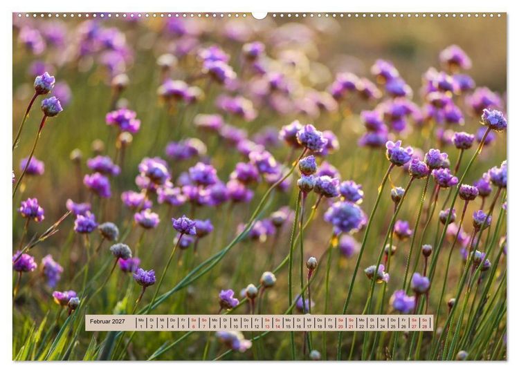 Produktbild: Nebel, Licht und Wunder (hochwertiger Premium Wandkalender 2027 DIN A2 quer), Kunstdruck in Hochglanz