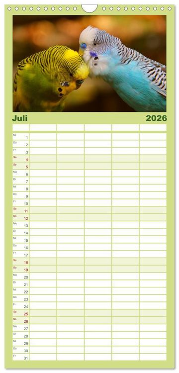 Produktbild: Familienplaner 2026 - Wellensittiche mit 5 Spalten (Wandkalender, 21 x 45 cm) CALVENDO
