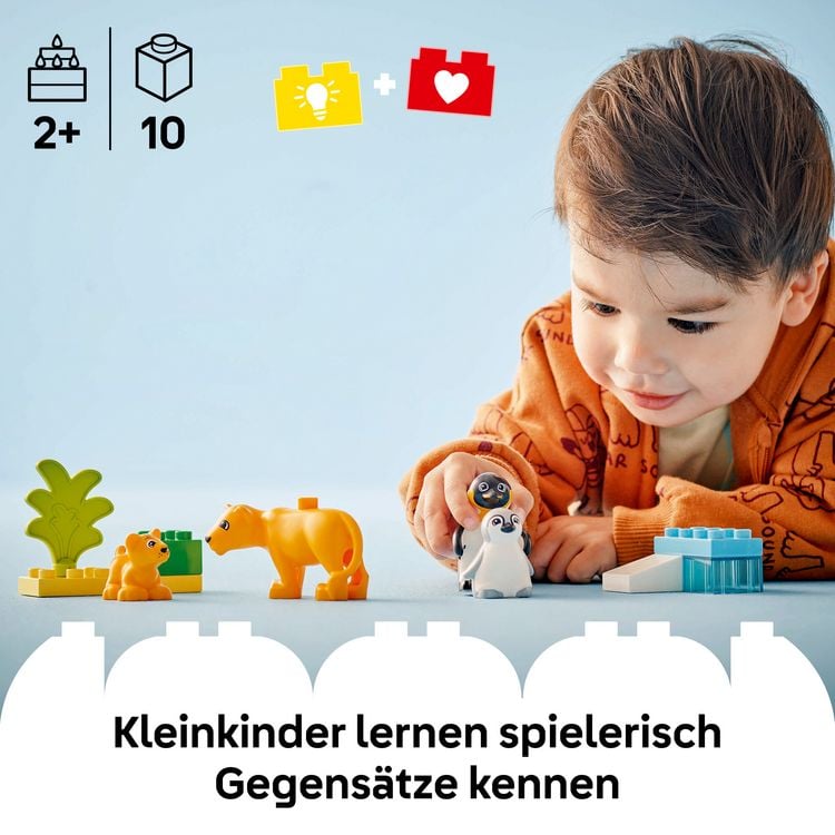 Produktbild: LEGO DUPLO 10442 Wildtier-Familien: Pinguine und L&ouml;wen, Lernspielzeug