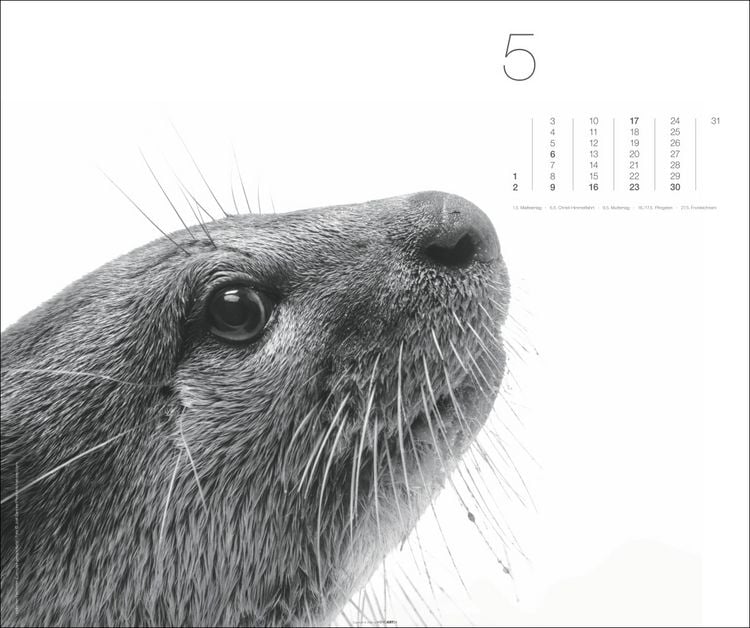 Produktbild: Black & White Animals 2027