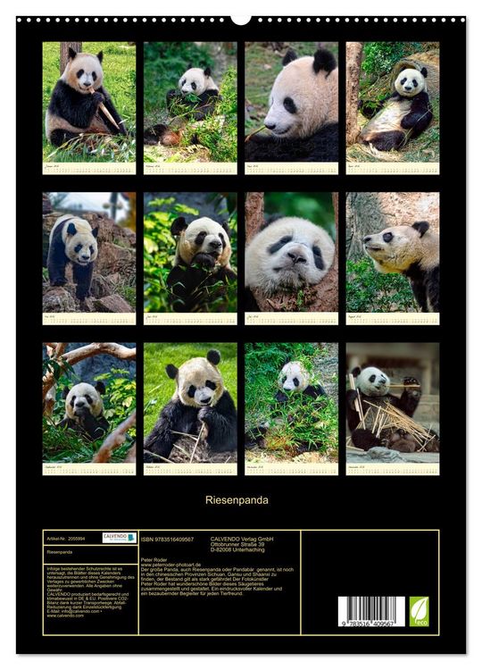 Produktbild: Riesenpanda (hochwertiger Premium Wandkalender 2026 DIN A2 hoch), Kunstdruck in Hochglanz