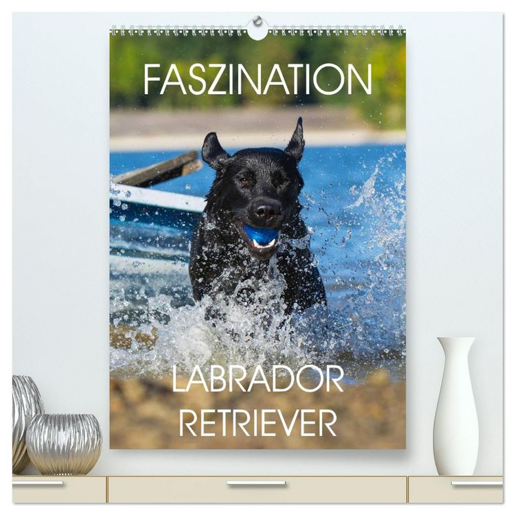 Produktbild: Faszination Labrador Retriever (hochwertiger Premium Wandkalender 2026 DIN A2 hoch), Kunstdruck in Hochglanz