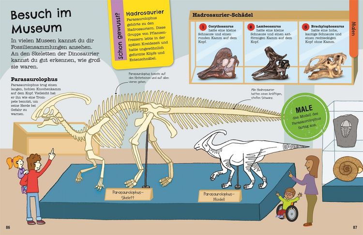 Produktbild: Mein Mitmach-Wissens-Kick. Dinosaurier