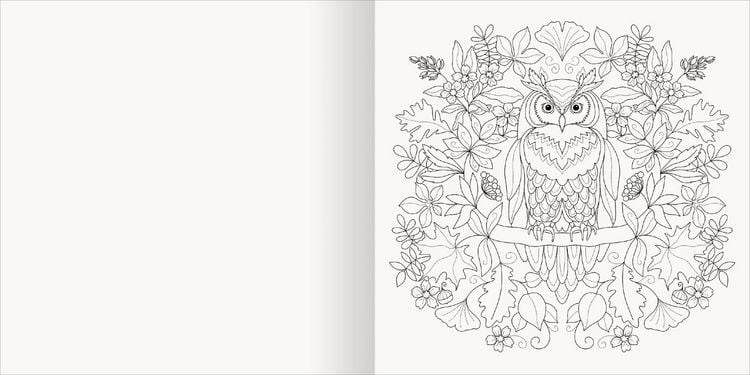 Produktbild: Aquarell-Malblock &ndash; Im Wald