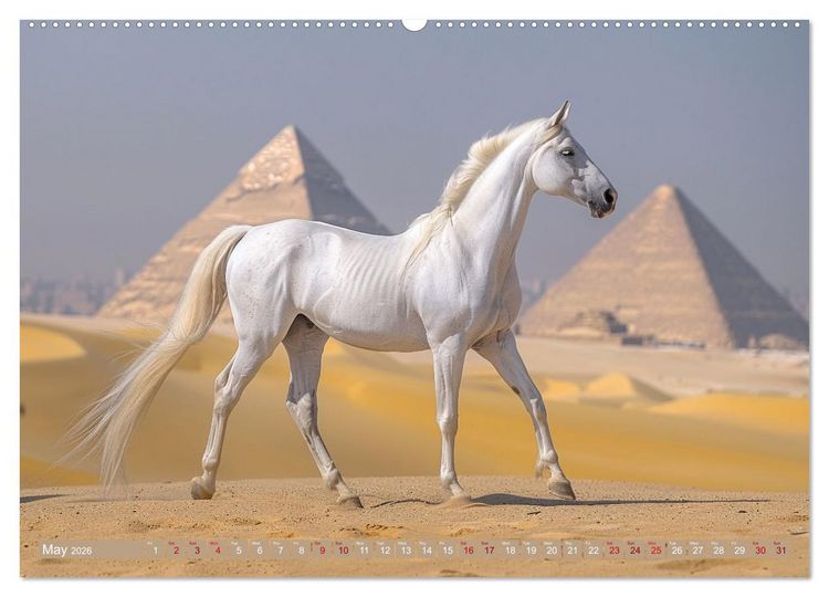 Produktbild: White Horses in Splendor (Wall Calendar 2026 DIN A2 landscape), CALVENDO 12 Month Wall Calendar