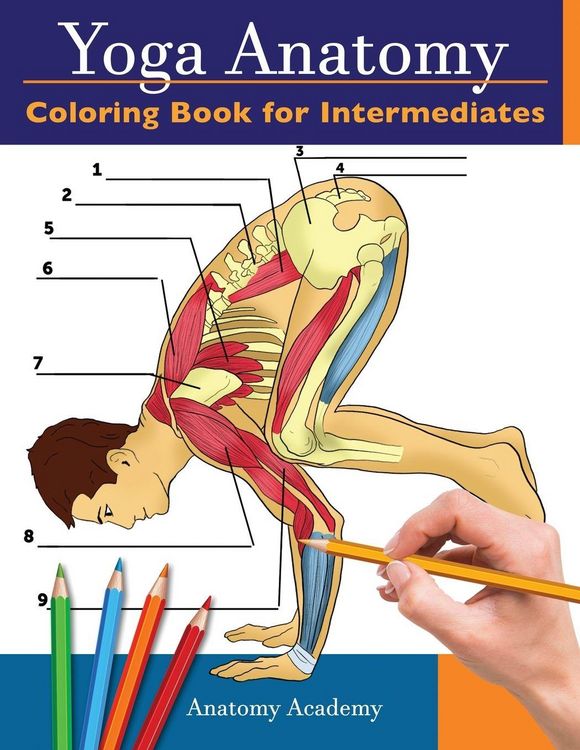 Produktbild: Yoga Anatomy Coloring Book for Intermediates