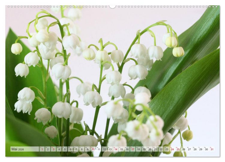 Produktbild: Blumenlust (hochwertiger Premium Wandkalender 2026 DIN A2 quer), Kunstdruck in Hochglanz