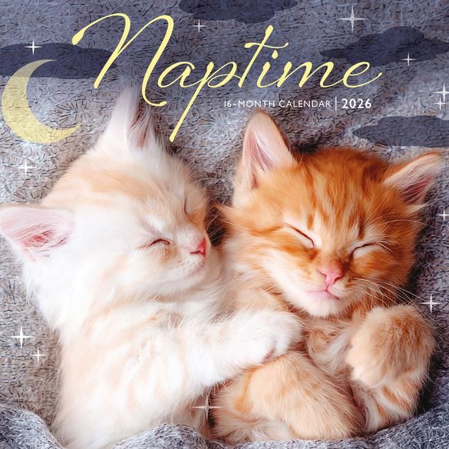 Produktbild: 2026 Naptime Mini Wall Calendar