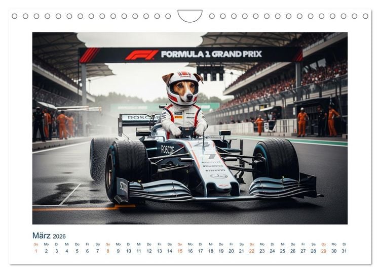 Produktbild: Jack Russel Active (Wandkalender 2026 DIN A4 quer), CALVENDO Monatskalender