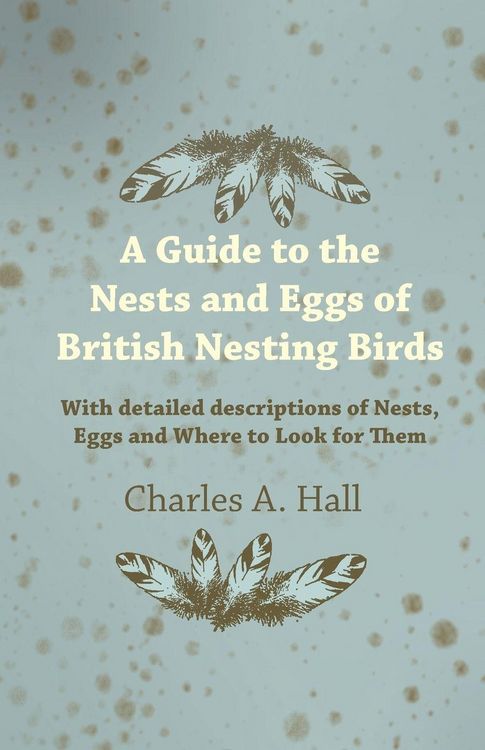 Produktbild: A Guide to the Nests and Eggs of British Nesting Birds - With Detailed Descriptions of Nests, Eggs, and Where to Look for Them