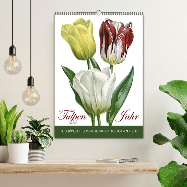 Produktbild: Tulpen - Jahr (Wandkalender 2026 DIN A2 hoch), CALVENDO Monatskalender