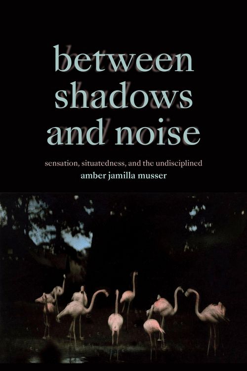 Produktbild: Between Shadows and Noise