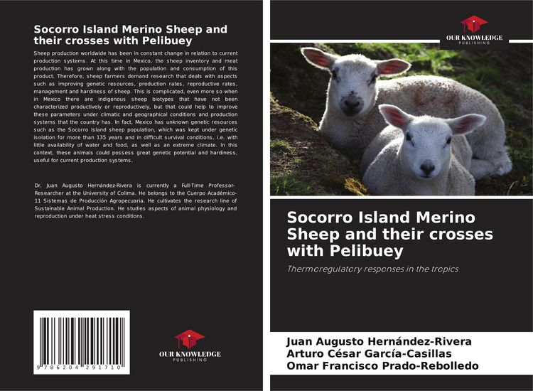 Produktbild: Socorro Island Merino Sheep and their crosses with Pelibuey