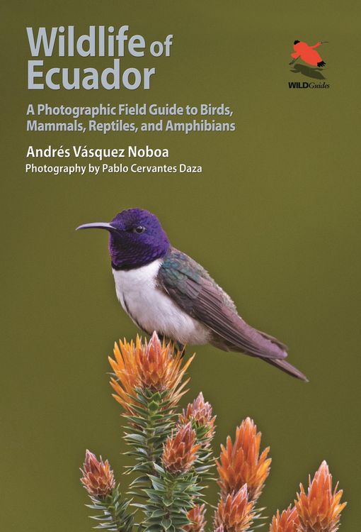 Produktbild: Wildlife of Ecuador