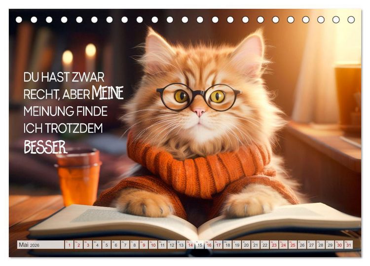 Produktbild: KATZEN-IRONIE Lach mal wieder (Tischkalender 2026 DIN A5 quer), CALVENDO Monatskalender