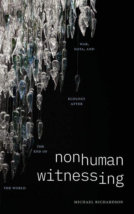 Produktbild: Nonhuman Witnessing