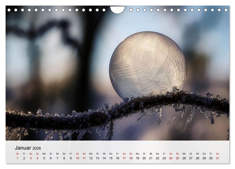 Produktbild: Verborgene Wunder (Wandkalender 2026 DIN A4 quer), CALVENDO Monatskalender