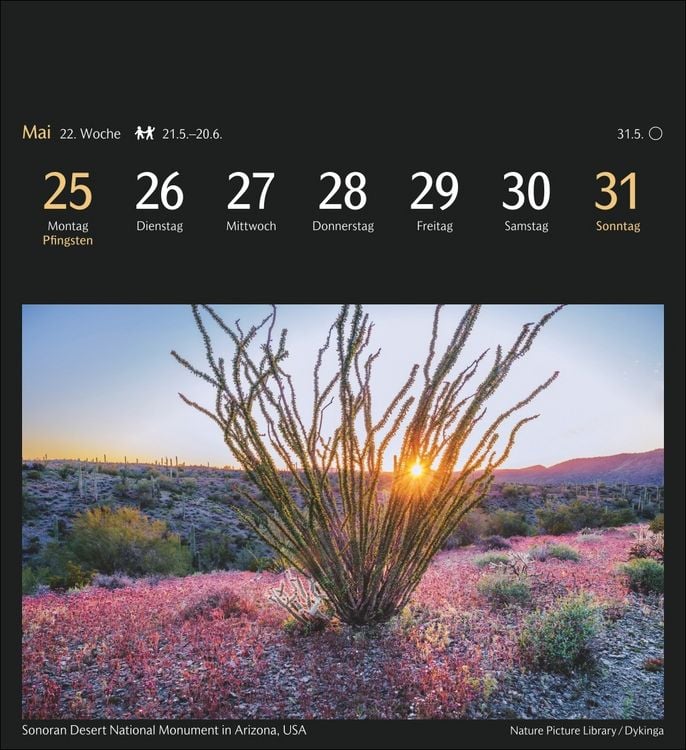 Produktbild: Magic Nature Postkartenkalender Kalender 2026 - Kalender mit 53 Postkarten