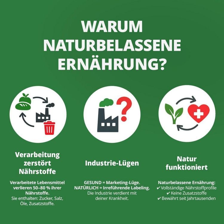 Produktbild: Die Krankheitslügen - Was man macht, um nicht krank zu werden.