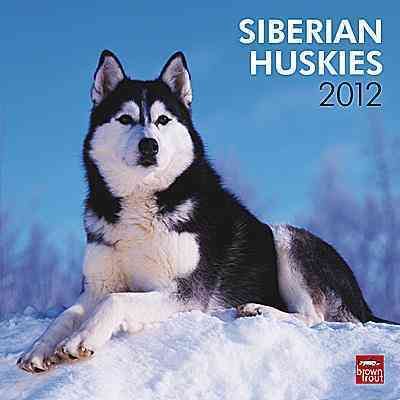 Produktbild: Siberian Huskies 2012 Calendar