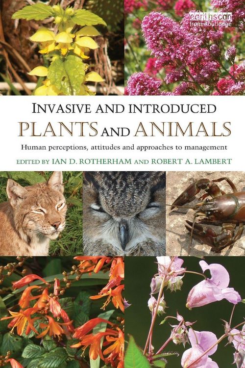 Produktbild: Invasive and Introduced Plants and Animals