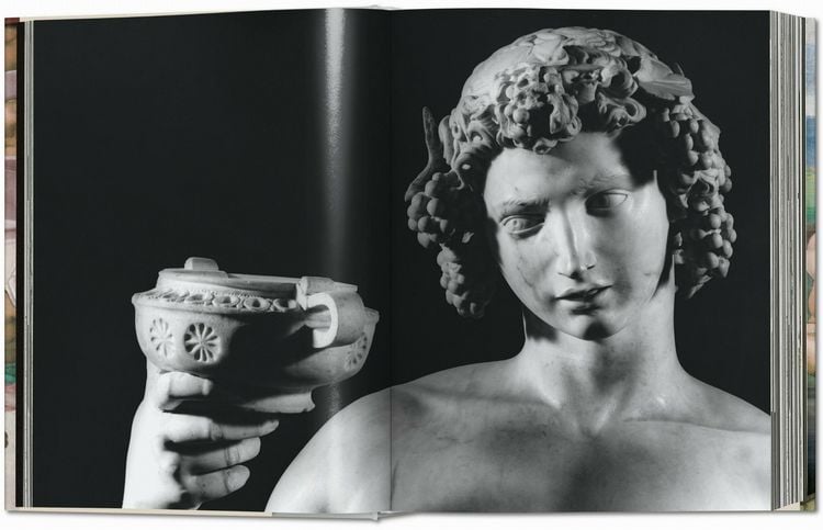 Produktbild: Michelangelo