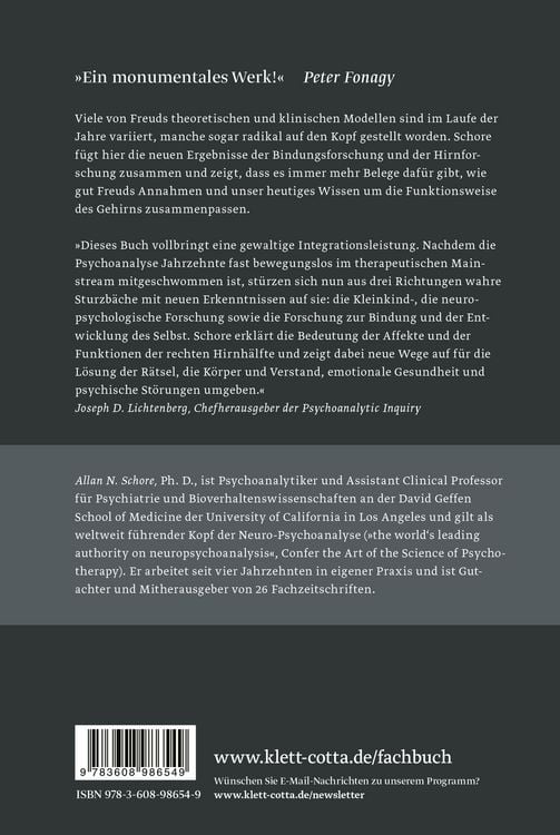 Produktbild: Affektregulation und die Reorganisation des Selbst