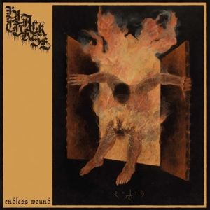 Produktbild: Endless Wound
