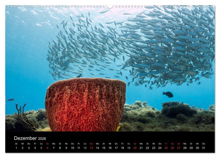 Produktbild: Tanz der Fische (hochwertiger Premium Wandkalender 2026 DIN A2 quer), Kunstdruck in Hochglanz