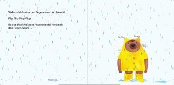 Produktbild: Konzert im Regen