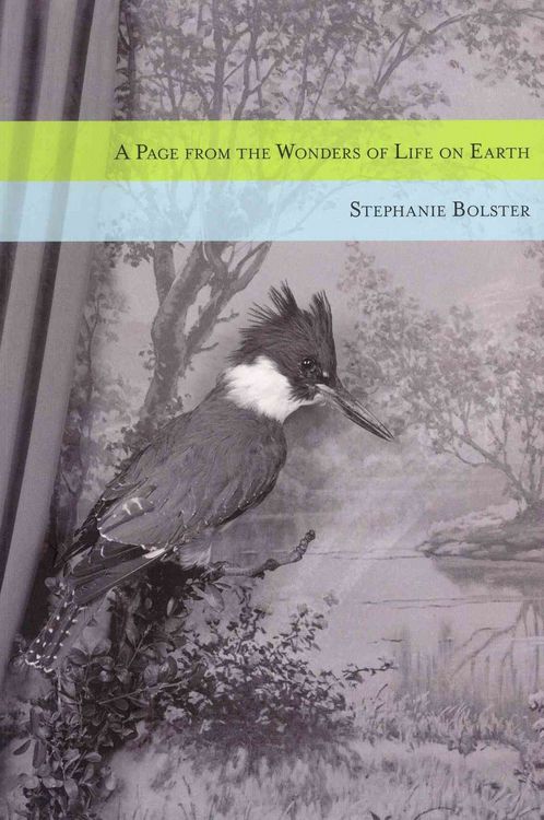 Produktbild: A Page from the Wonders of Life on Earth