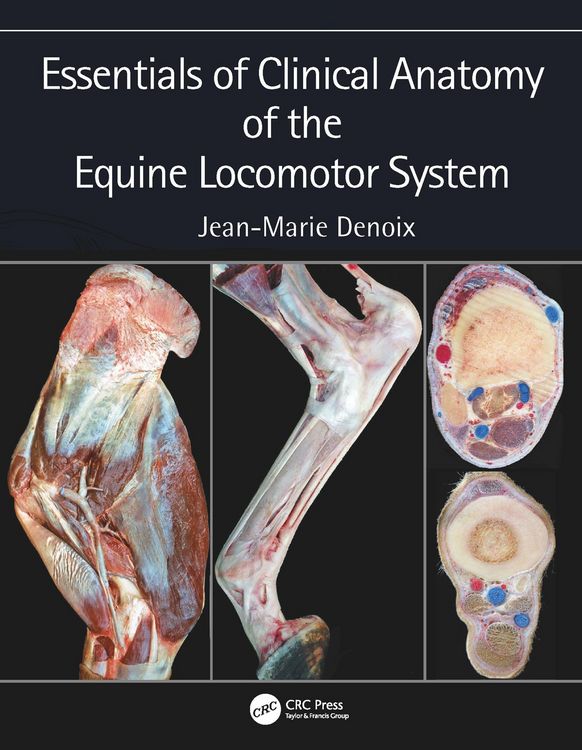 Produktbild: Essentials of Clinical Anatomy of the Equine Locomotor System