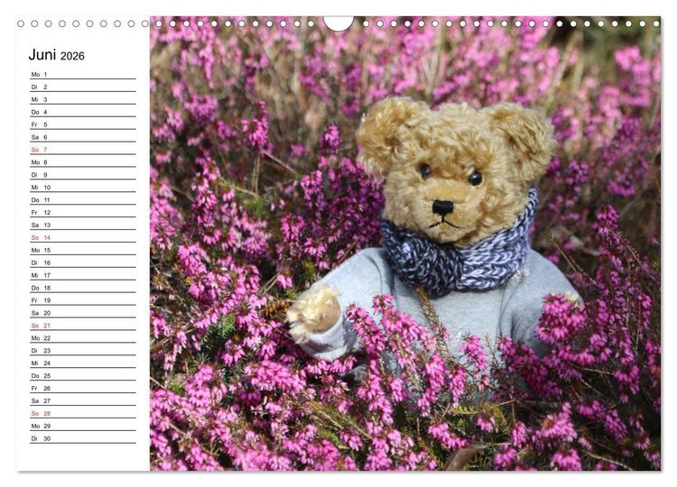 Produktbild: Teddy unterwegs (Wandkalender 2026 DIN A3 quer), CALVENDO Monatskalender