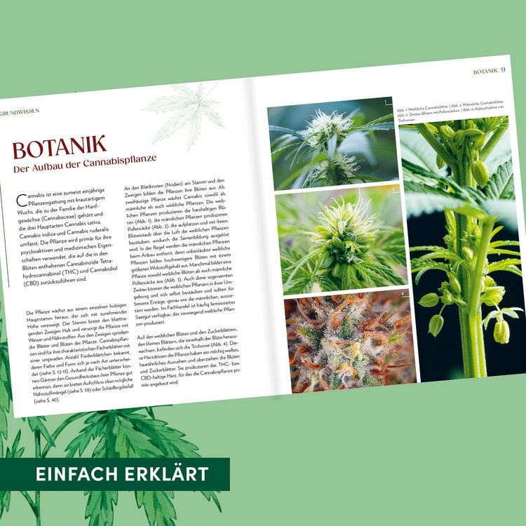 Produktbild: Cannabis-Anbau f&uuml;r Anf&auml;nger