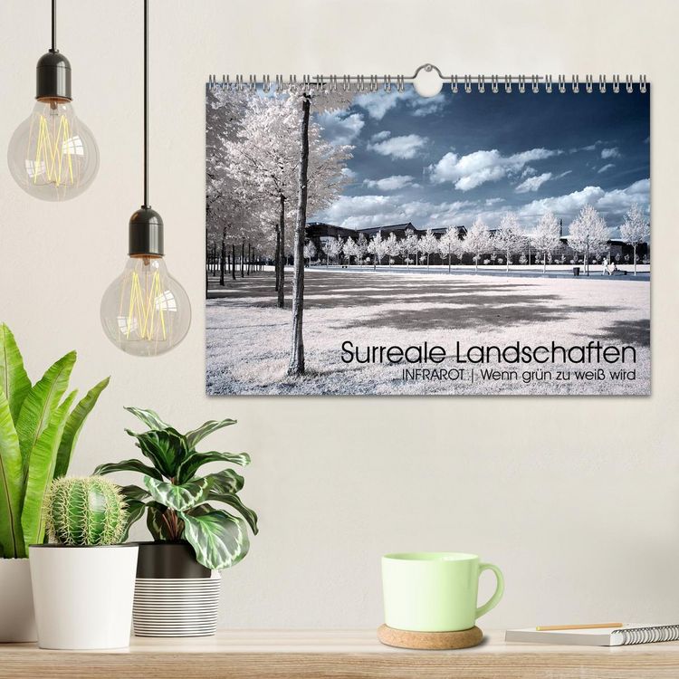 Produktbild: Surreale Landschaften. INFRARROT - Wenn gr&uuml;n zu wei&szlig; wird (Wandkalender 2026 DIN A4 quer), CALVENDO Monatskalender