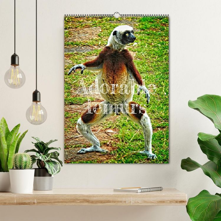 Produktbild: Adorable lemurs (Wall Calendar 2026 DIN A2 portrait), CALVENDO 12 Month Wall Calendar