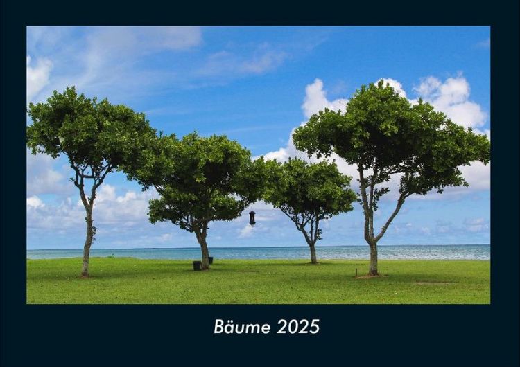 Produktbild: B&auml;ume 2025 Fotokalender DIN A4