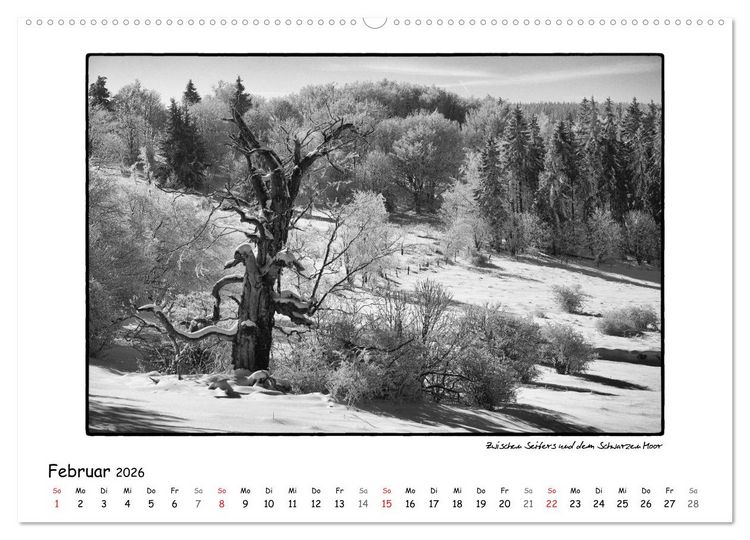 Produktbild: RH&Ouml;N SCHWARZ-WEISS (Wandkalender 2026 DIN A2 quer), CALVENDO Monatskalender