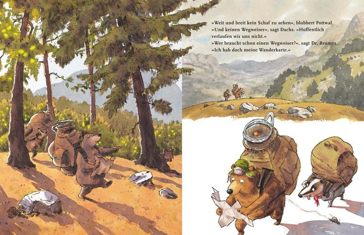 Produktbild: Dr. Brumm: Dr. Brumm geht wandern