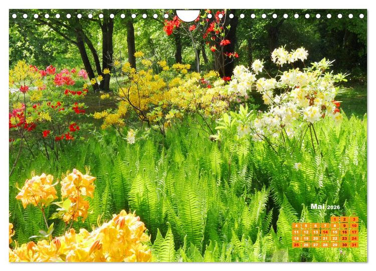 Produktbild: Urlaub im Garten (Wandkalender 2026 DIN A4 quer), CALVENDO Monatskalender