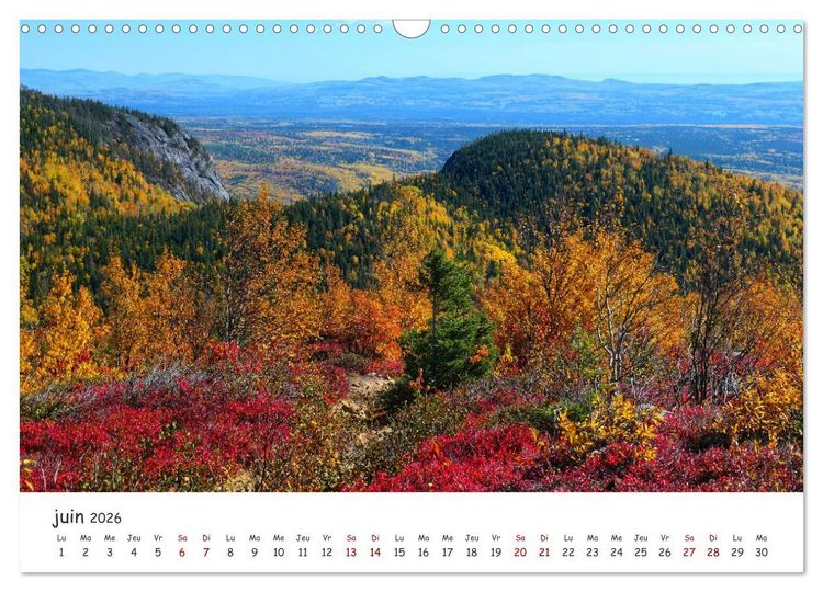 Produktbild: Automne haut en couleurs (Calendrier mural 2026 DIN A3 vertical), CALVENDO calendrier mensuel