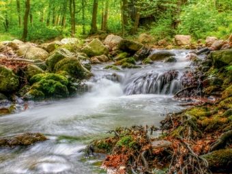 Produktbild: CALVENDO Puzzle Harz | 1000 Teile Lege-Gr&ouml;&szlig;e 64x48cm Foto-Puzzle f&uuml;r gl&uuml;ckliche Stunden